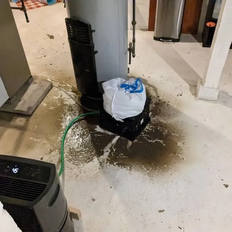 Sewage Backup Cleanup Service in Brices Creek, NC